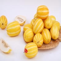  [산지직송]달콤한 과즙 아삭아삭한 식감 성주 참외 1kg/1.5kg/2kg/3kg