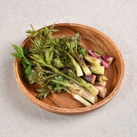 국내산 참두릅(푸)