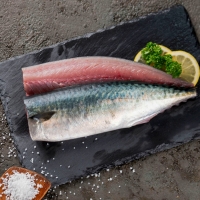 [동방유통] 급속 개별 냉동으로 깨끗한 노르웨이 고등어살 1팩/2팩/3팩/5팩 (팩당500g) /HACCP인증