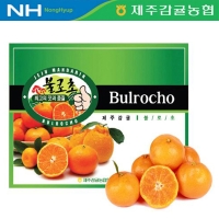 [제주감귤농협/당도선별] 고당도_불로초 [1.5kg-3kg]