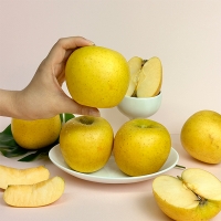 [오커캄스] 황금빛 시나노 골드 사과 2kg 3kg