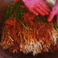 [김장철] 익을수록 더 맛있는 파김치(푸)