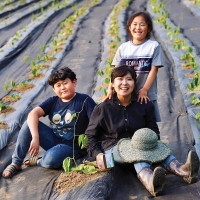 에코프리베 호박 팥차 티백 1.5g x (10ea / 20ea) 저온 다회 덖음차 [ECOFRIBAE] 