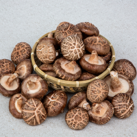 국산 생표고버섯 1kg