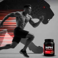  [머슬웨이] WPH 92% 가수분해유청단백질 프로틴 보충제 초코맛 1kg