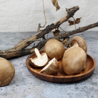 예산청년농부의 국내산 무농약 생표고버섯 1kg