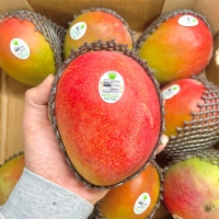 프리미엄 애플망고(푸)