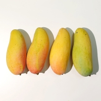 프리미엄 무지개망고(푸)