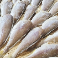자연산 국산 반건조 두절 참조기 500g (17미 내외 / 손질 후 크기 15cm 내외) / 전남목포