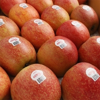 [신한카드 할인] 고당도 프리미엄  엔비사과(푸)