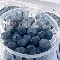 톡터지는 신선함 국내산 블루베리