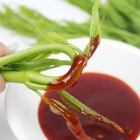 26년산 서산농부의 여름두릅 500g / 1kg / 2kg 당일수확 가시없는두릅 새순