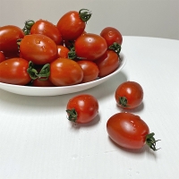 [토마캄스] 대추 방울 토마토 2kg 3kg 5kg 중대과 로열과 혼합