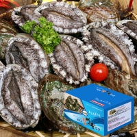 [명절특선] [완도바다참전복] 활 참전복 (소중/대특) 1kg/1.5kg/2kg 상품전(12품목)