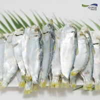 [자연원] 국내산 완도 디포리(밴댕이) 1.5kg(특/박스)