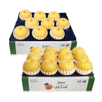 [2/3일부터 순차출고] [명절특선][농협공판장] 정성드린 프리미엄 천안 배세트 7.5kg(특12과내/10과내)