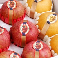 [과일예찬] 프리미엄 사과/배혼합세트 5kg/6kg/7kg(사과6과,배6과)