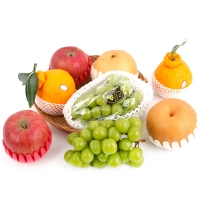 [1/19일부터 순차출고] [농협] 한아름드린 프리미엄 과일4종혼합세트 4.5kg내외(사과2입,배2입,한라봉2입,샤인2입)