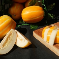 [오커디어] 꿀당도 성주 참외 1.5kg 2kg 2.5kg 3kg 4.5kg