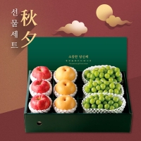 [위프레시] 명품11호 배9-10과 7.5kg(제수용)