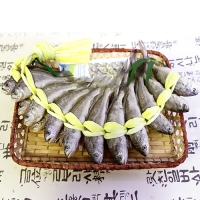 영광굴비 법성포 국보 굴비 세트 5호 20미 1.4kg