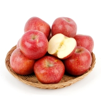 [농협공판장] 정성드린 고랭지 실속 사과 5kg(18-20과)