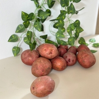 [만원의 행복] 땅속에 사과 국내산 홍감자