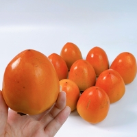 [오커최고] 국내산 대봉감 가을 감 2kg 3kg 5kg