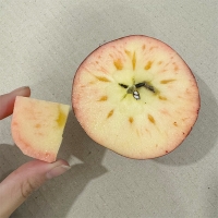 아삭아삭 달~콤한 엔부사과(푸)