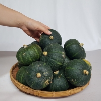 [국내산] 포슬포슬 미니 밤호박 2kg(3-6개입) [2kg-4kg]