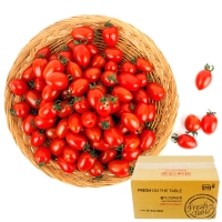 [농협공판장] 정성드린 대추방울토마토 4kg(특1-2번과)