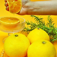 [명절캄스] 제주 황금향 선물세트 2kg 3kg 5kg 선물가방 포함