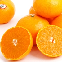 [농협] 한아름드린 천혜향세트 3kg(특13과내)  1박스/2박스