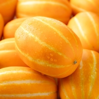 [과일] 과즙가득 수분가득 가정용 성주참외 1kg/2kg/3kg/5kg