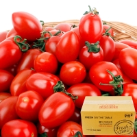 [농협공판장] 정성드린 대추방울토마토 4kg(특1-2번과)