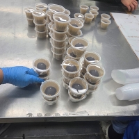 [보름데이] 두바이 쫀득쿠키 스모어(푸)