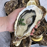 [水] 산지직송 통영굴 삼배체굴 석화 하프셀 생굴 손질 바위굴 벚굴