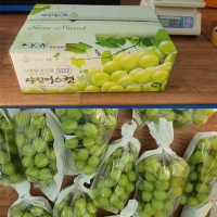 [명절브팜] 빛나는 샤인머스켓 고당도 2kg 선물세트 선물용
