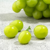 [명절특선] [농협] 한아름드린 샤인머스캣 선물세트 2kg/4kg(2품목)