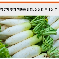  [행사특가] 매일담그는 오늘애 깍두기 김치 모든 재료 국내산  1kg/2kg/3kg/5kg