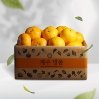 [오커브팜] 제주 한라봉 천혜향 레드향 만감 혼합 일반포장