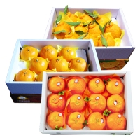 [명절특선] [농협] 한아름드린 제주 만감(한라봉/천혜향/레드향) 상품전