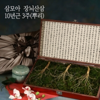 [삼모아] 산양산삼 10년근 3/5/7/10뿌리(프리미엄세트)/고가구목함+실크보자기