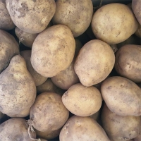 [만원의 행복] 감자 포슬포슬 국산 감자 수미감자 햇감자