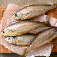 [제주특선] 은갈치/참조기 어가세트 2호(은갈치 특대/2마리+참조기 대/6마리)