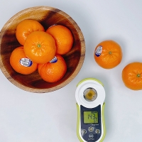 [오커최고] 수입 만다린 1kg 2kg