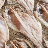 자연산 반건조 국산 통치 2미 (1팩) (손질 후 크기 33cm 이상)  / 전남목포