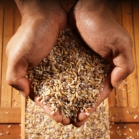 [방앗간아이] 내 몸에 좋은 저속노화잡곡