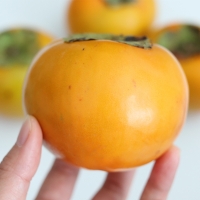 [만원의 행복] [단감최고] 단맛 진한 단감 2kg 3kg 5kg 제철  단감