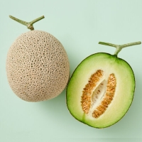 [멜론의 정석] 고당도 머스크 멜론 [4kg-8kg]